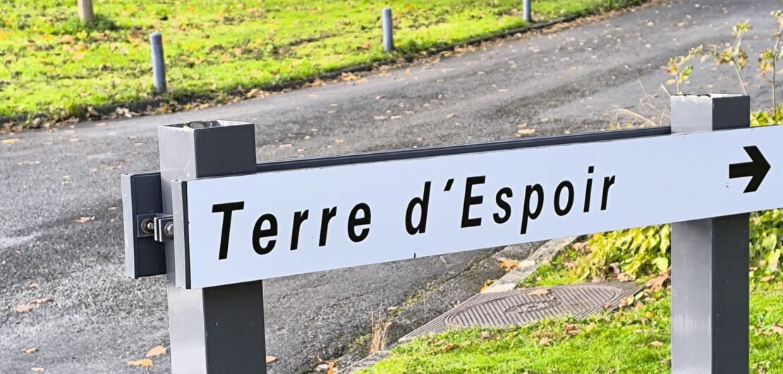 Pelotes de laine Terre d'Espoir à Landerneau