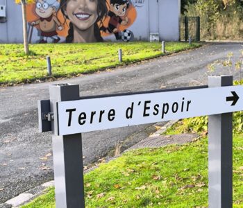 Pelotes de laine Terre d'Espoir à Landerneau