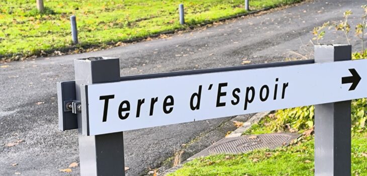 Pelotes de laine Terre d'Espoir à Landerneau