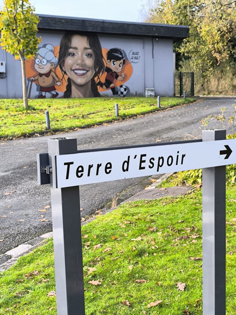 Pelotes de laine Terre d'Espoir à Landerneau
